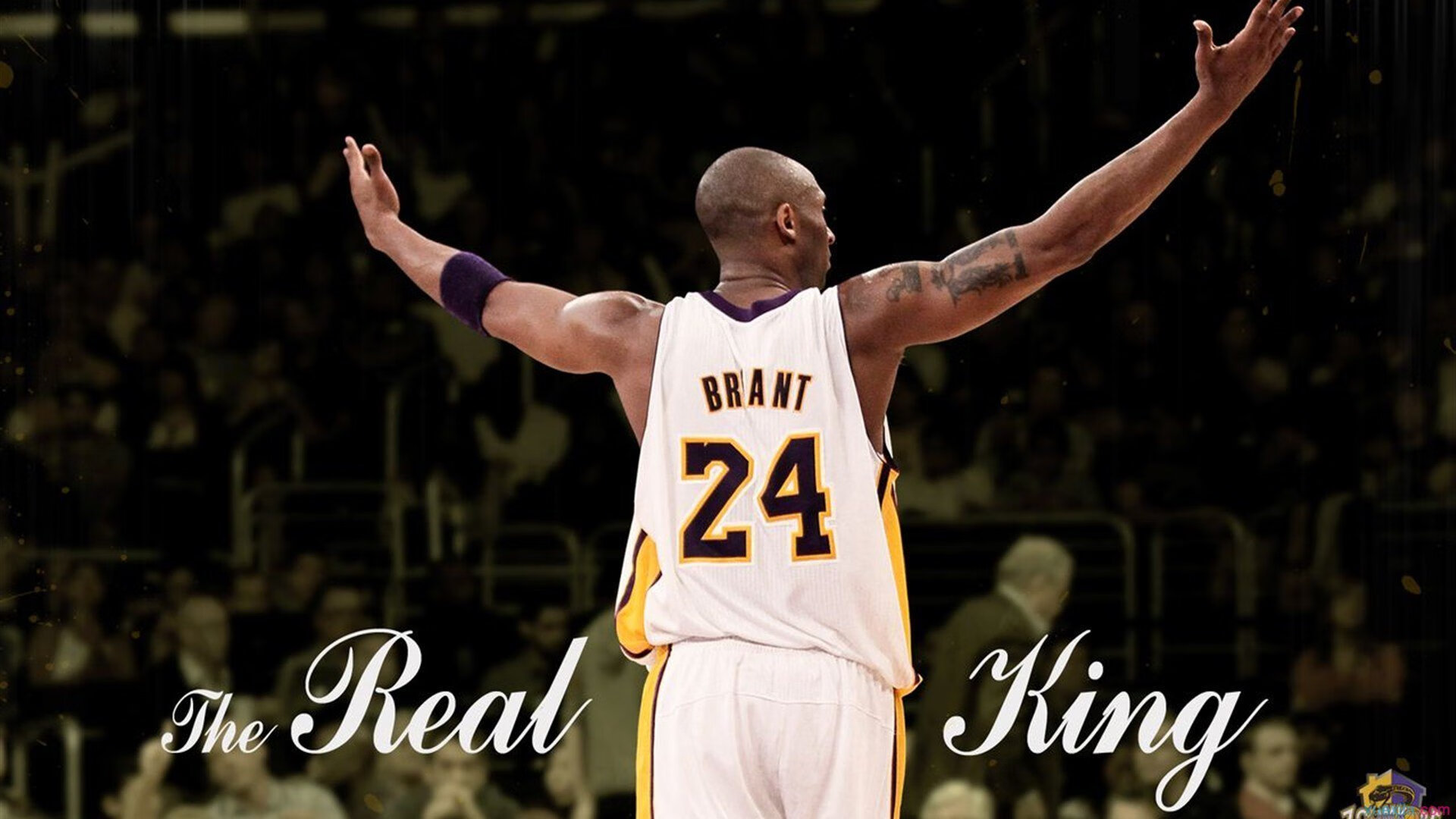 LOL S16版本提前引争议玩家直呼:今年世界赛很可能乱杀,英雄联盟世界赛16强